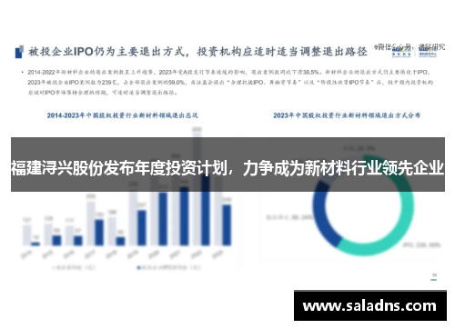 福建浔兴股份发布年度投资计划，力争成为新材料行业领先企业