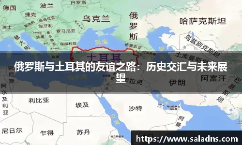 俄罗斯与土耳其的友谊之路：历史交汇与未来展望