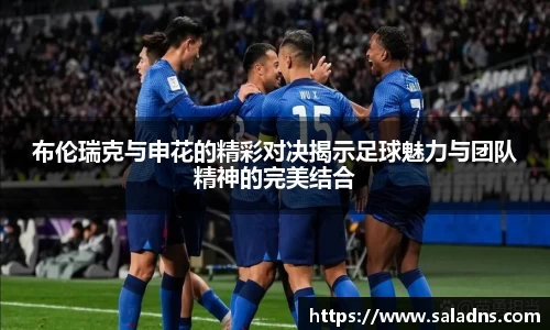 布伦瑞克与申花的精彩对决揭示足球魅力与团队精神的完美结合